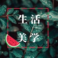 YDD ·生活美学 | 中国茶杯中的美学